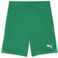 Puma teamGOAL Short ohne Innenslip