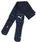 Puma teamFINAL Stutzensocken