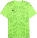 Puma teamULTIMATE Trikot 1/4 Arm