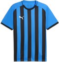 Puma teamLIGA26 Striped Trikot 1/4 Arm