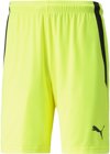 Puma teamLIGA Short ohne Innenslip