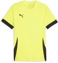 Puma teamGOAL Trikot 1/4 Arm