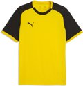 Puma teamLIGA26 Matchday Trikot 1/4 Arm