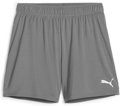 Puma teamGOAL Handball Short Damen