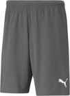 Puma teamRISE Short ohne Innenslip