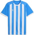 Puma teamLIGA26 Striped Trikot 1/4 Arm