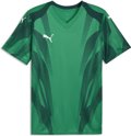 Puma teamFINAL26 Graphic+ Trikot 1/4 Arm