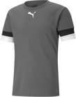 Puma teamRISE Trikot 1/4 Arm