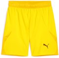 Puma teamFINAL Short ohne Innenslip