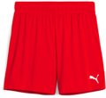 Puma teamGOAL Handball Short Damen