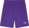 Puma teamGOAL Short ohne Innenslip