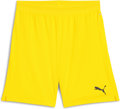 Puma teamCUP Short ohne Innenslip