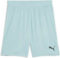 Puma teamGOAL Short ohne Innenslip