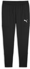 Puma teamGOAL Trainingshose Slim