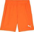 Puma teamGOAL Short ohne Innenslip