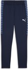 Puma teamLIGA26 Trainingshose+
