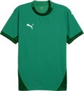 Puma teamFINAL Trikot 1/4 Arm 