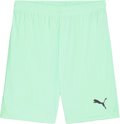 Puma teamGOAL Short ohne Innenslip