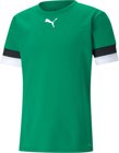 Puma teamRISE Trikot 1/4 Arm