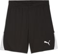 Puma teamLIGA26 Short ohne Innenslip