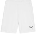 Puma teamGOAL Short ohne Innenslip