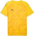 Puma teamFINAL26 Graphic Trikot 1/4 Arm