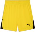 Puma teamLIGA26 Short ohne Innenslip
