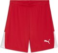 Puma teamLIGA26 Short ohne Innenslip