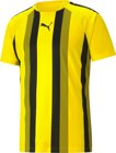 Puma teamLIGA Striped Trikot 1/4 Arm 