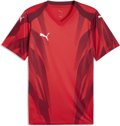 Puma teamFINAL26 Graphic+ Trikot 1/4 Arm