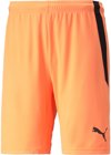 Puma teamLIGA Short ohne Innenslip