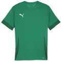 Puma teamGOAL Trikot 1/4 Arm