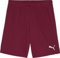 Puma teamGOAL Short ohne Innenslip