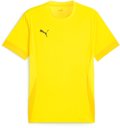 Puma teamGOAL Trikot 1/4 Arm