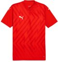 Puma teamGLORY Trikot 1/4 Arm 