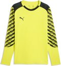 Puma teamLIGA26 Goalkeeper Trikot 1/1 Arm