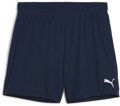 Puma teamGOAL Handball Short Damen