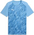 Puma teamFINAL26 Graphic Trikot 1/4 Arm