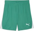 Puma teamLIGA26 Short ohne Innenslip