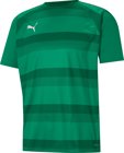 Puma teamVISION Trikot 1/4 Arm