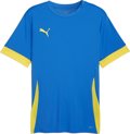 Puma teamGOAL Trikot 1/4 Arm