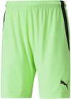 Puma teamLIGA Short ohne Innenslip