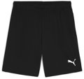 Puma teamGOAL Short ohne Innenslip