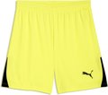Puma teamLIGA26 Short ohne Innenslip