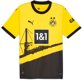 BVB Borussia Dortmund