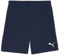 Puma teamGOAL Short ohne Innenslip