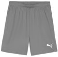 Puma teamGOAL Short ohne Innenslip