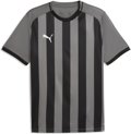 Puma teamLIGA26 Striped Trikot 1/4 Arm