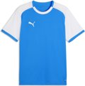 Puma teamLIGA26 Matchday Trikot 1/4 Arm