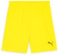 Puma teamGOAL Short ohne Innenslip